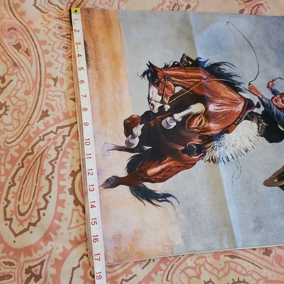 Western Pillow Cowboy Rodeo Horse Bronc Rider - Picture 9 of 11